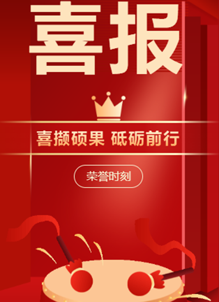年终总结公众号模板预览图
